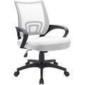 Mesh Desk Chair with Armrest